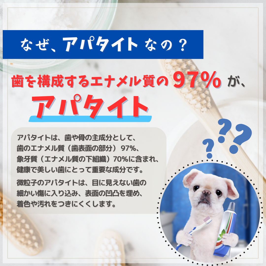 UMOハミガキパウダー | アパタイト&ケイ素のパウダー歯磨き粉