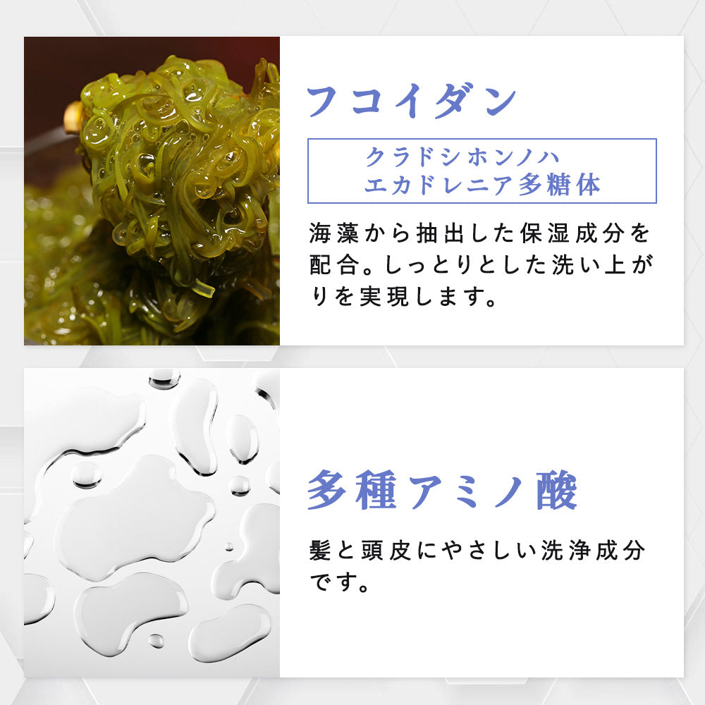 海珪シャンプー