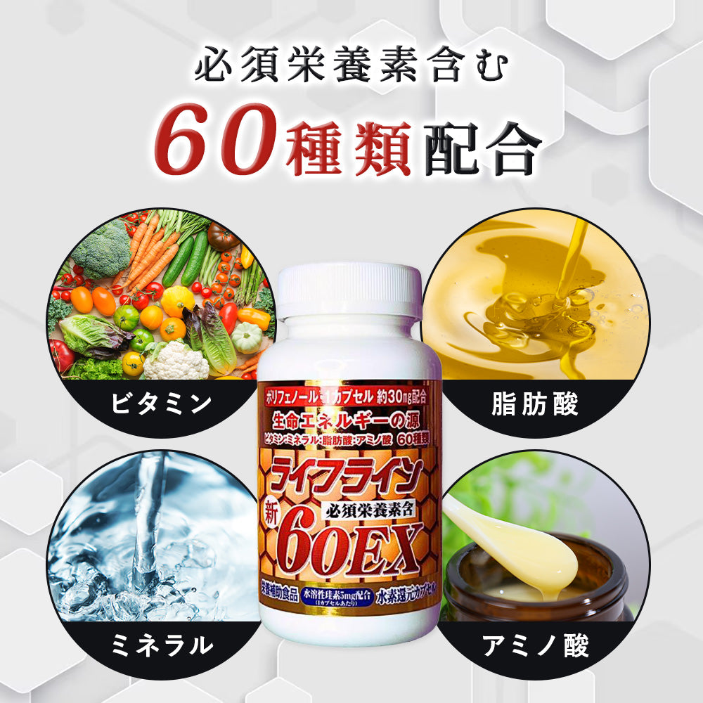 60EX サプリメント