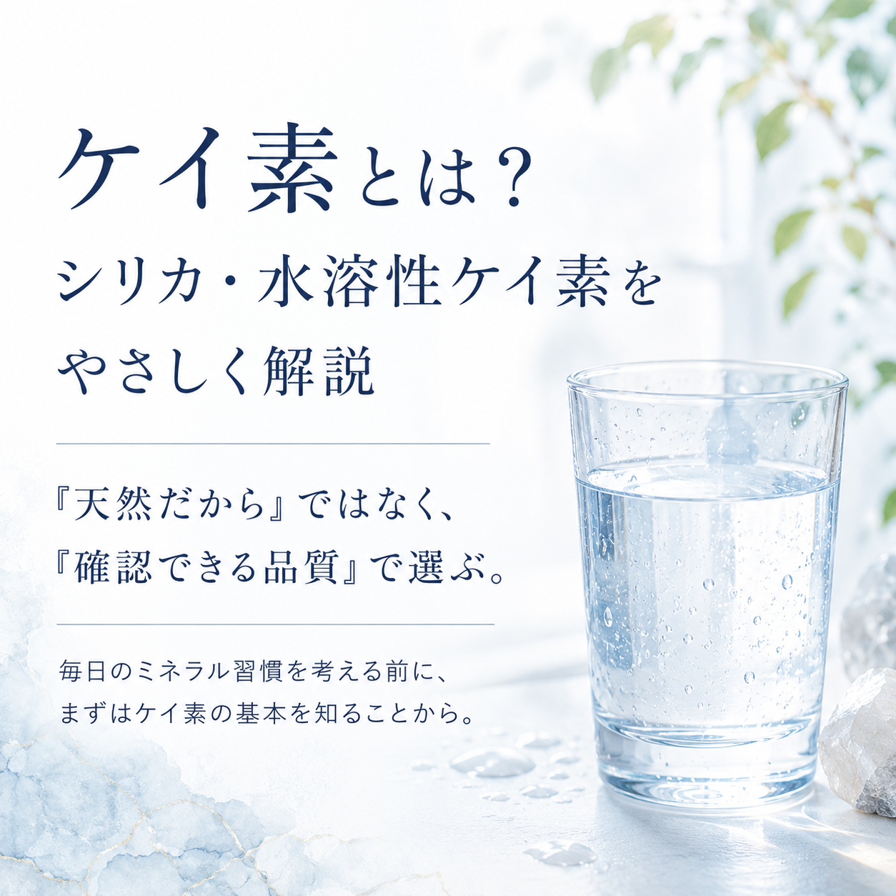 ケイ素とは シリカ 水溶性ケイ素をやさしく解説 確認できる品質で選ぶ