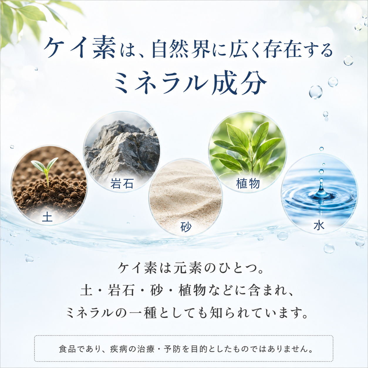 ケイ素は自然界に広く存在するミネラル成分 土 岩石 砂 植物 水に含まれる