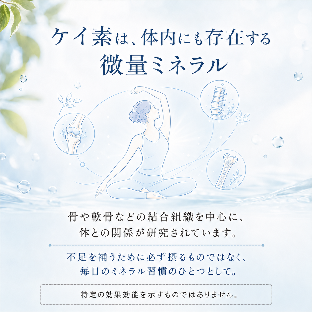 ケイ素は体内にも存在する微量ミネラル 骨や軟骨などの結合組織との関係が研究される