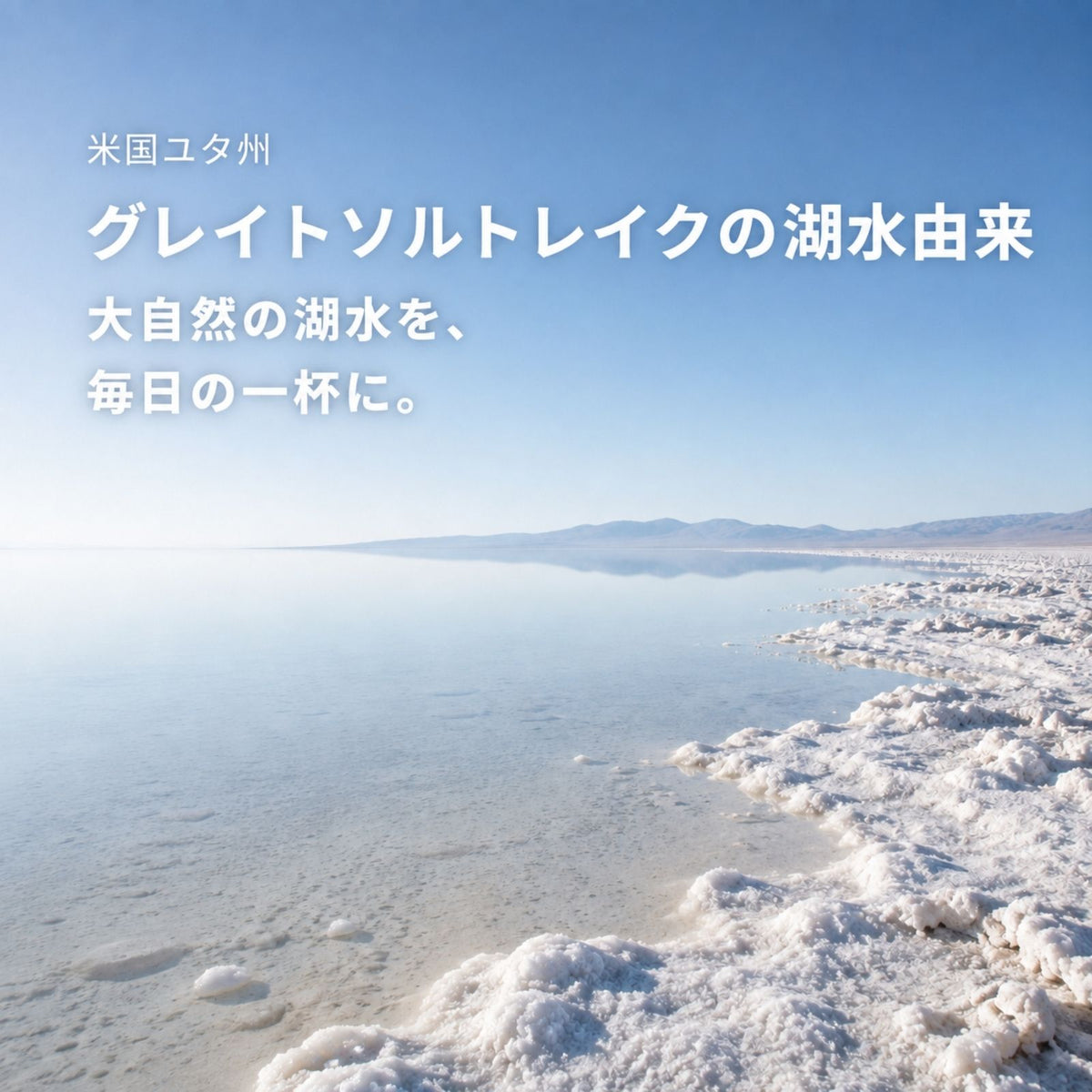 GLM濃縮溶液 50mL 高濃度マグネシウム 5250mg 液体 サプリ ミネラル濃縮液 塩化マグネシウム グレイトソルトレイク