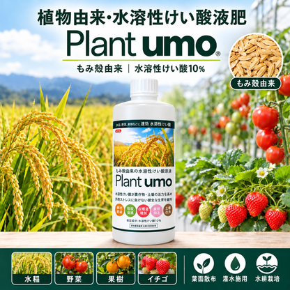 Plant umo（プラントウモ）｜もみ殻由来の水溶性けい酸10％液肥